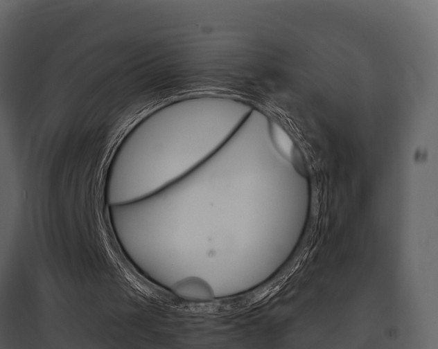 X0000097850049200803140906