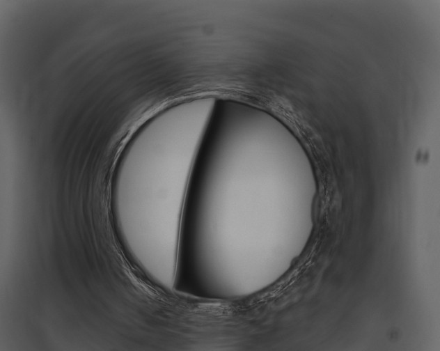 X0000097850050200803140906