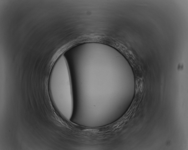 X0000097850051200803140906
