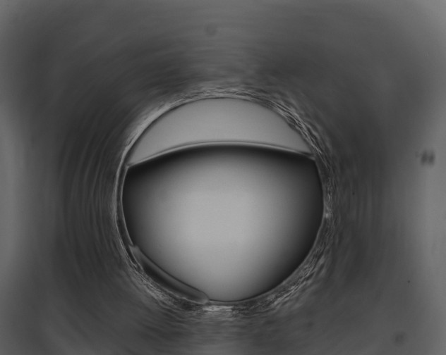 X0000097850052200803140906