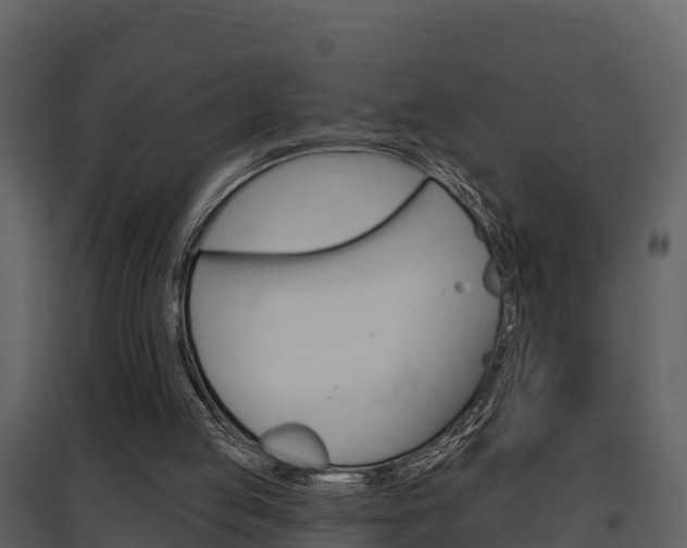 X0000097850053200803140906