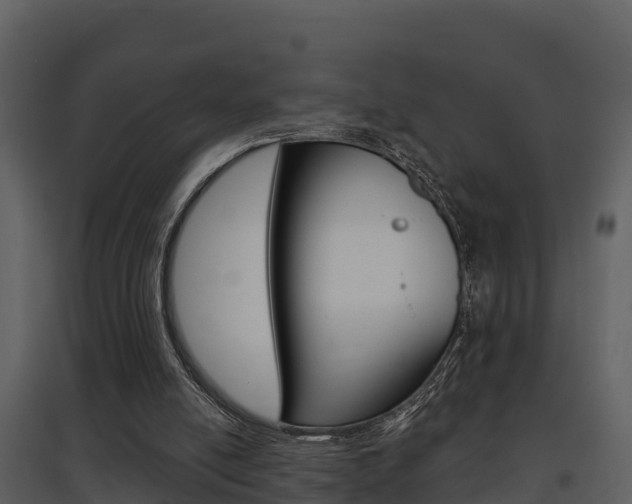 X0000097850054200803140906
