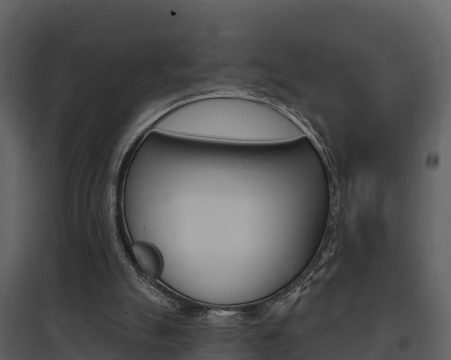 X0000097850055200803140906