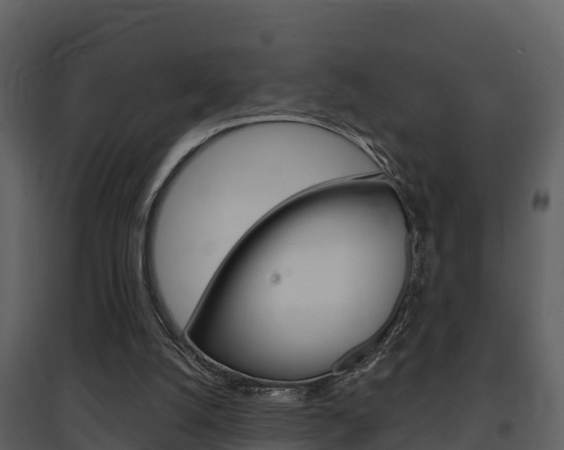 X0000097850056200803140906