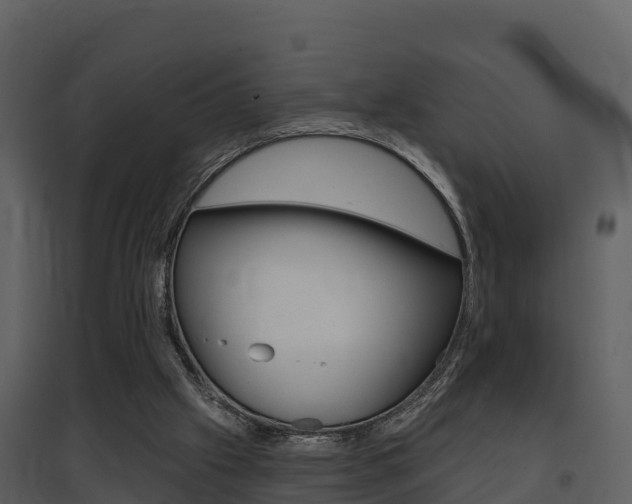 X0000097850057200803140906