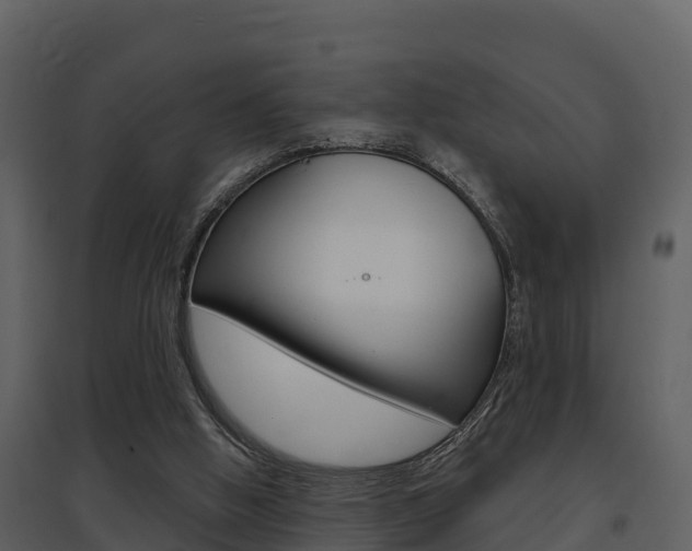 X0000097850058200803140906