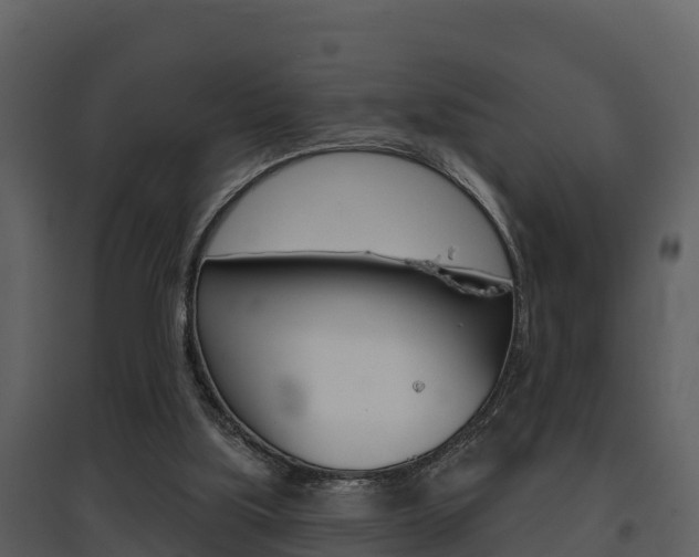 X0000097850059200803140906