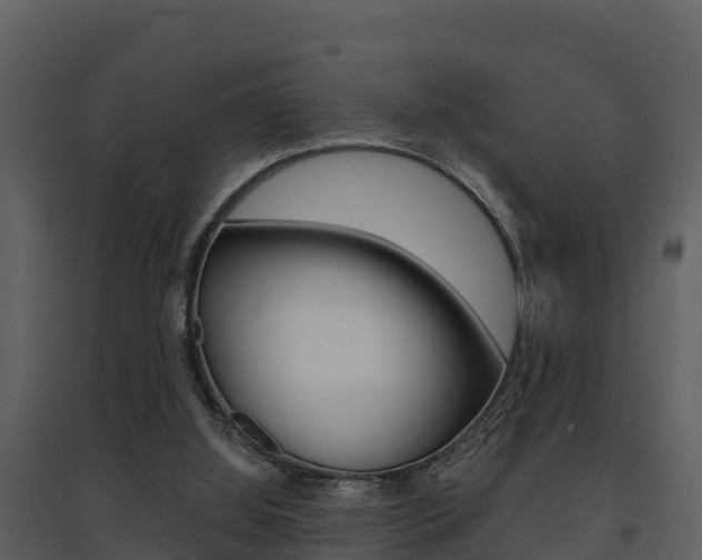 X0000097850060200803140906