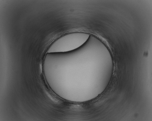 X0000097850061200803140906