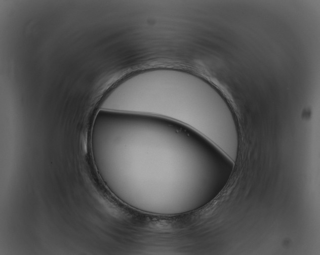 X0000097850062200803140906