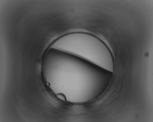 X0000097850063200803140906
