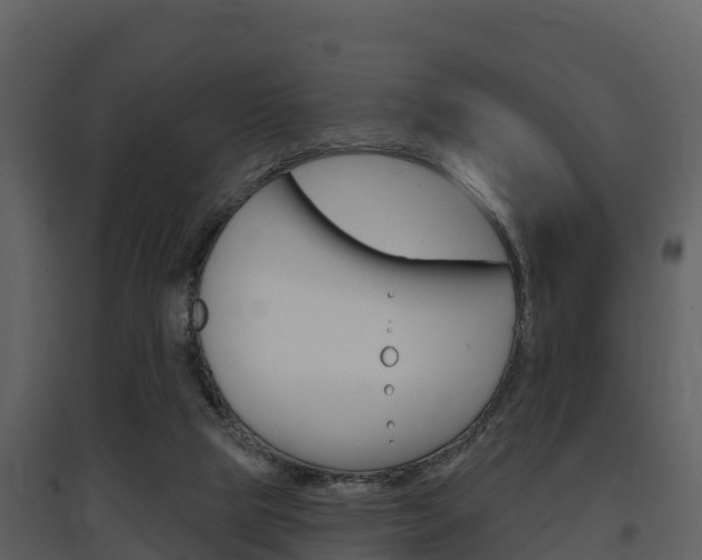 X0000097850065200803140906