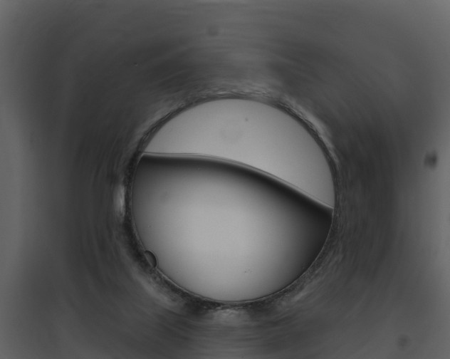X0000097850067200803140906
