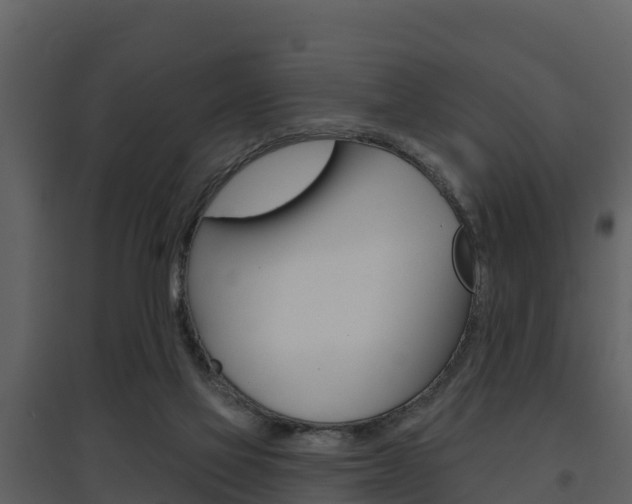 X0000097850069200803140906