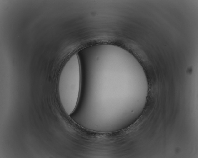 X0000097850070200803140906