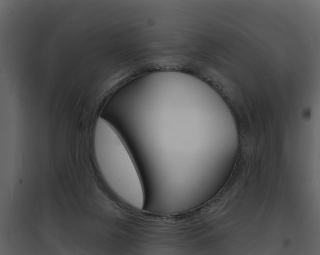 X0000097850071200803140906