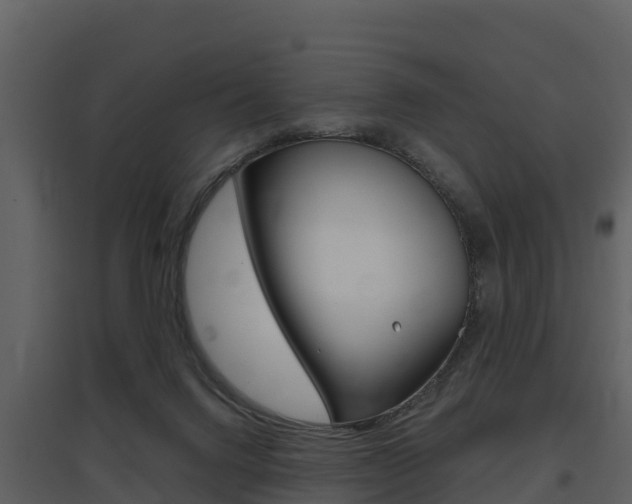 X0000097850072200803140906