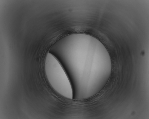 X0000097850075200803140907