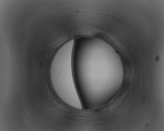 X0000097850076200803140907