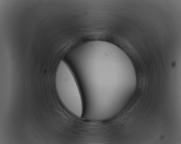 X0000097850077200803140907