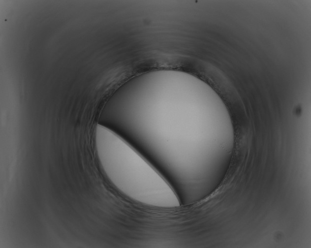 X0000097850078200803140907