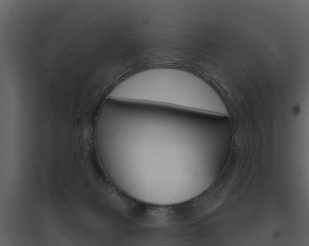 X0000097850079200803140907