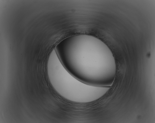 X0000097850080200803140907