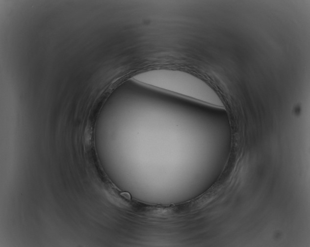 X0000097850081200803140907