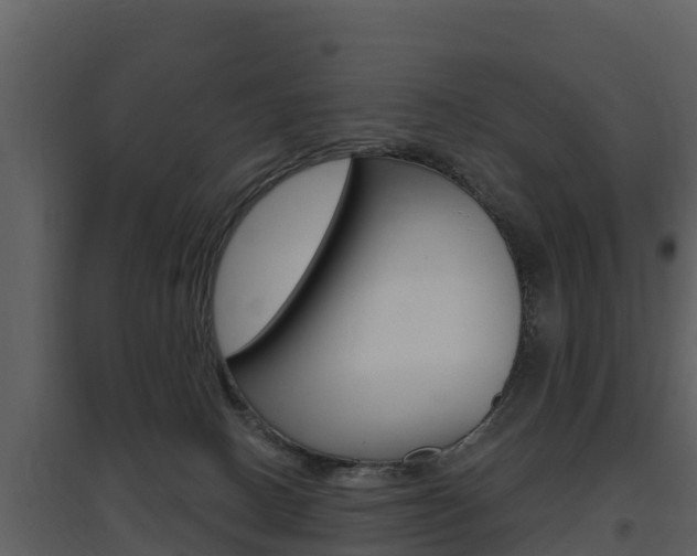 X0000097850082200803140907