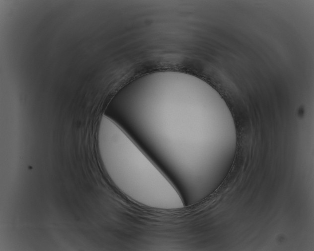 X0000097850083200803140907