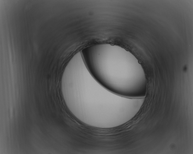 X0000097850085200803140907