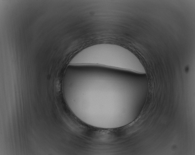 X0000097850086200803140907