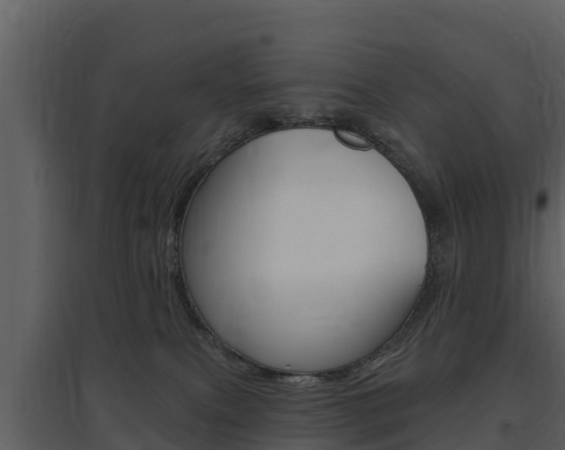X0000097850087200803140907