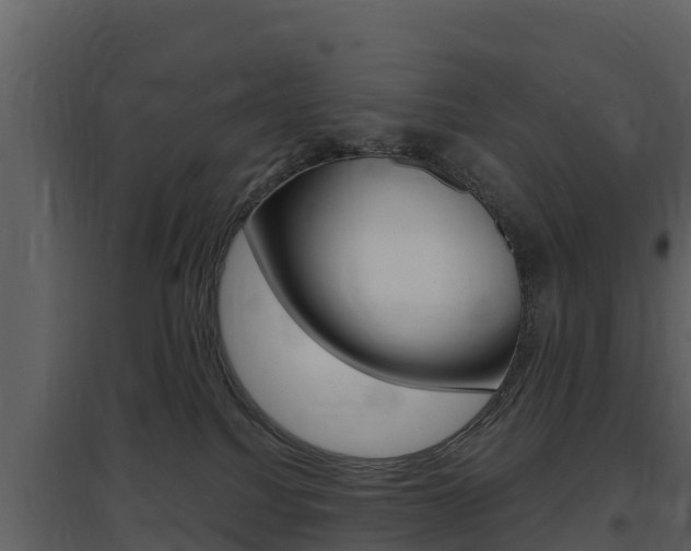 X0000097850088200803140907