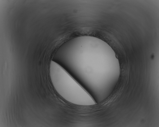 X0000097850089200803140907