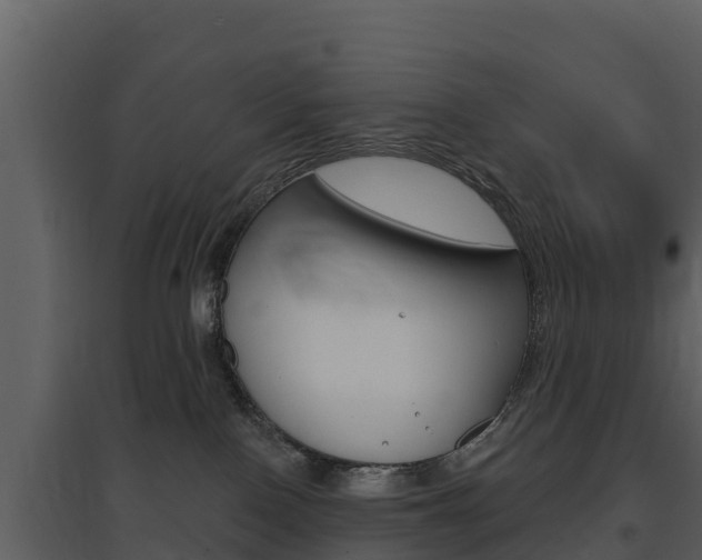 X0000097850090200803140907