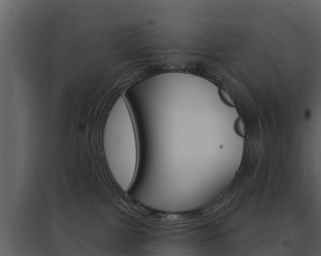 X0000097850091200803140907