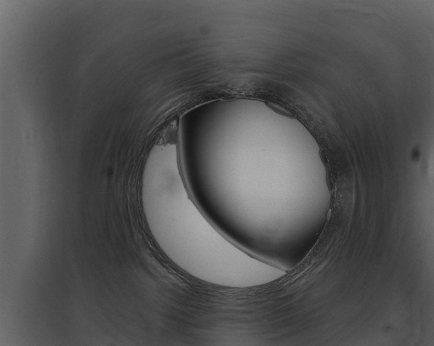 X0000097850092200803140907