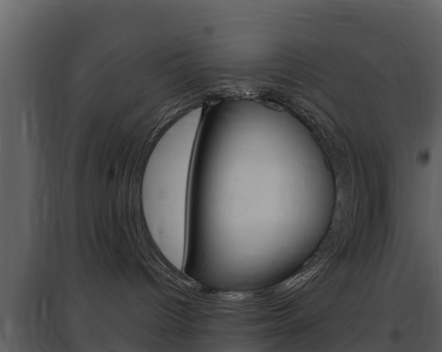 X0000097850096200803140907