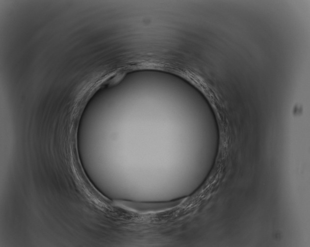 X0000097850097200803140906