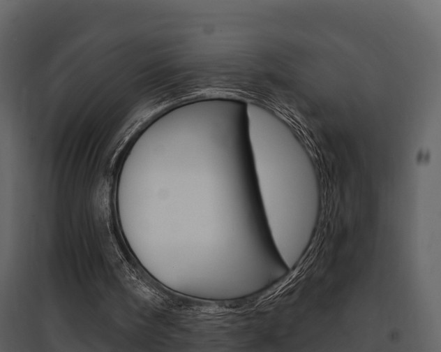 X0000097850098200803140906