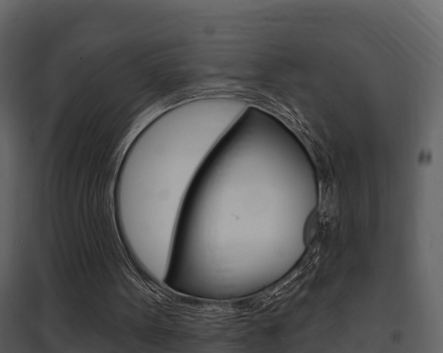 X0000097850099200803140906