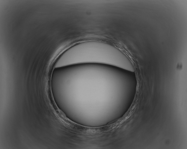 X0000097850101200803140906