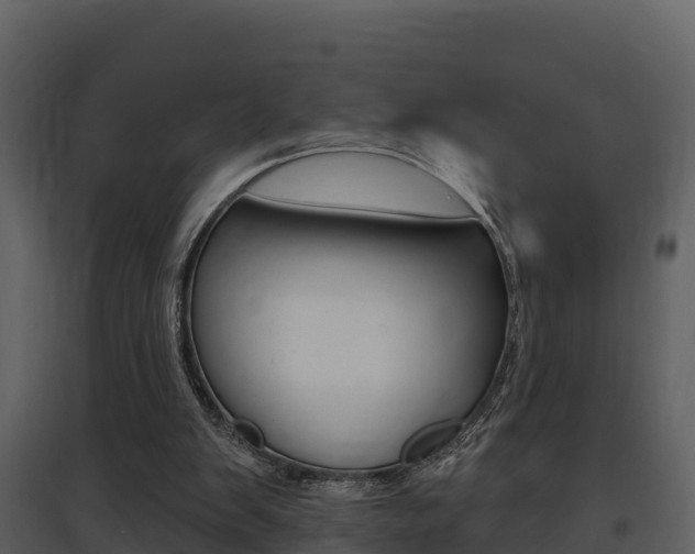 X0000097850103200803140906