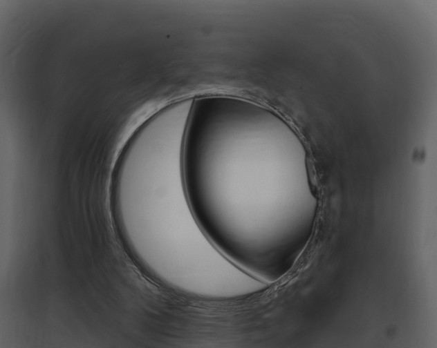 X0000097850104200803140906