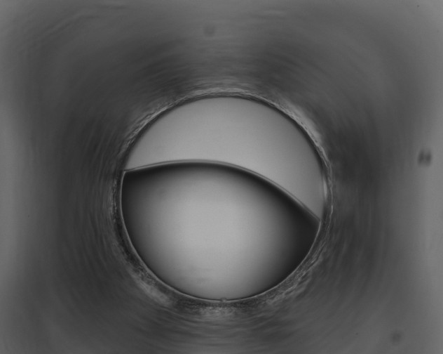 X0000097850105200803140906