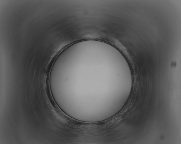 X0000097850106200803140906