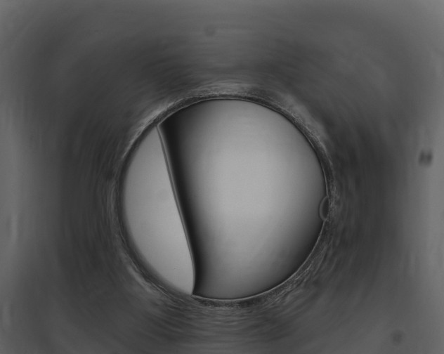 X0000097850107200803140906