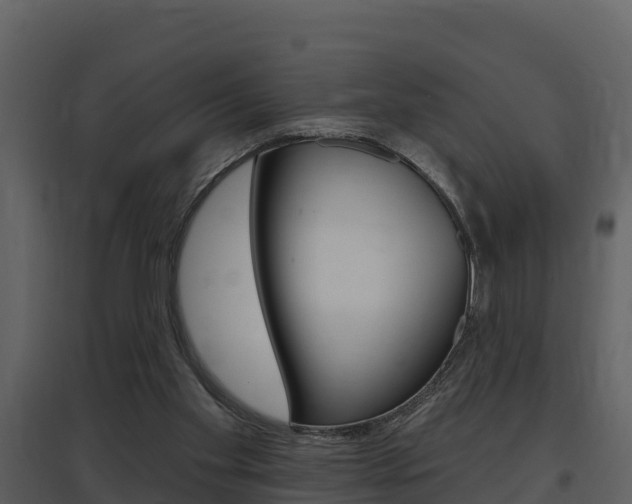 X0000097850109200803140906