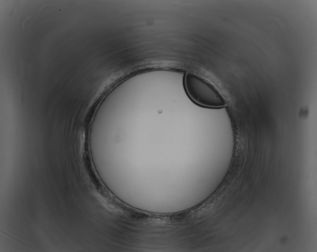 X0000097850110200803140906